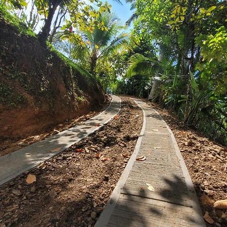 Private Jungle “Loft Del Rio” River Access Uvita Zewnętrze zdjęcie
