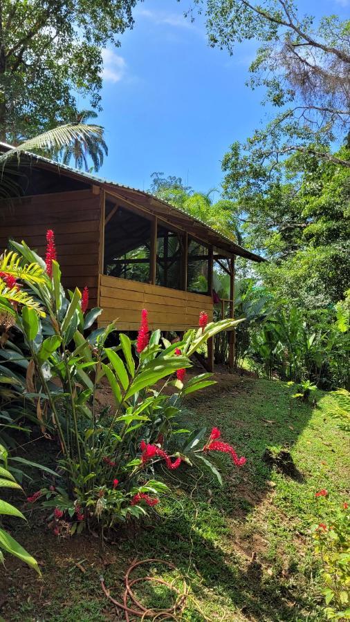 Private Jungle “Loft Del Rio” River Access Uvita Zewnętrze zdjęcie