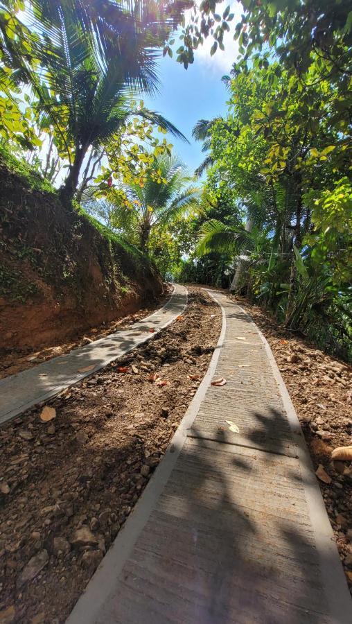 Private Jungle “Loft Del Rio” River Access Uvita Zewnętrze zdjęcie