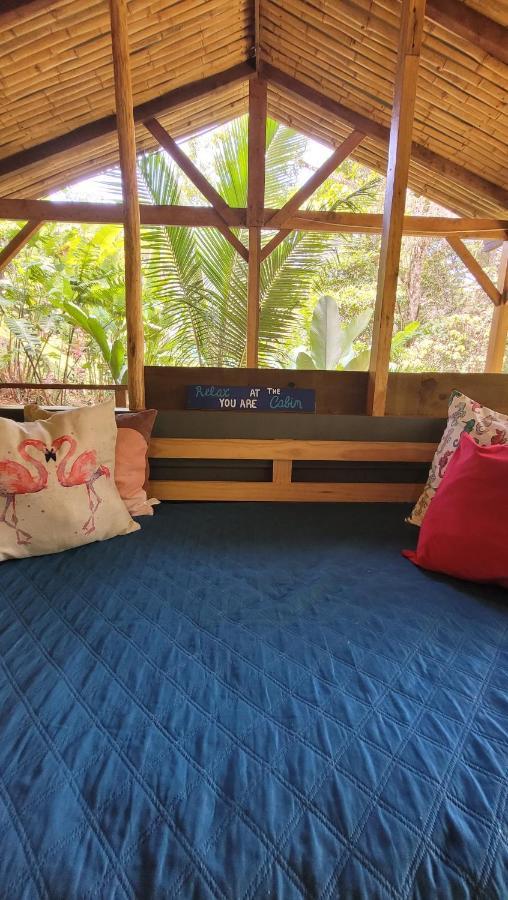Private Jungle “Loft Del Rio” River Access Uvita Zewnętrze zdjęcie