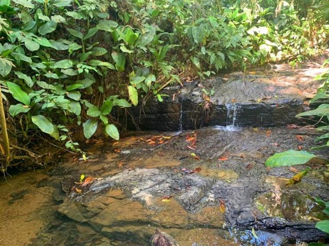 Private Jungle “Loft Del Rio” River Access Uvita Zewnętrze zdjęcie